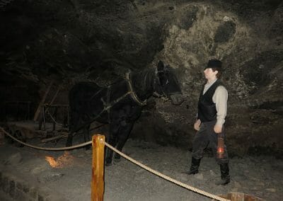 מכרה המלח Wieliczka
